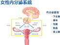 月经疾病简介